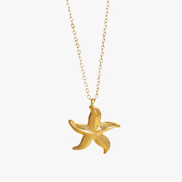 Nerida Ster Ketting